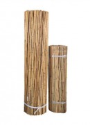Забор из бамбука 